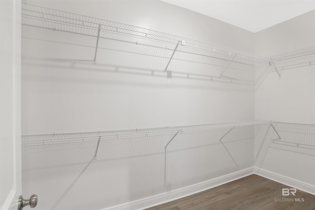 1061 Tampa Ave, Foley, AL 36535 - walk in closet with dark wood finished floors