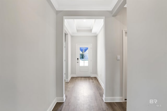 1061 Tampa Ave, Foley, AL 36535 - doorway to outside with dark wood-type flooring, crown molding, baseboards, and a tray ceiling