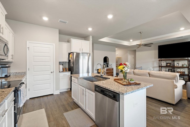 10487 Sand Dune Ave, Mobile, AL 36695 - kitchen featuring appliances with stainless steel finishes, a sink, dark wood finished floors, recessed lighting, and a raised ceiling