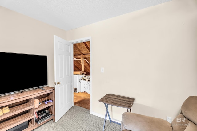 sitting room featuring a textured ceiling and light colored carpet