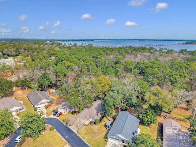 bird's eye view with a water view and a wooded view