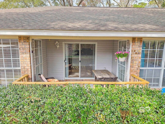 doorway to property featuring a shingled roof and brick siding