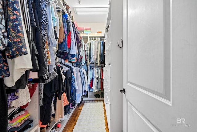 walk in closet with hardwood / wood-style flooring