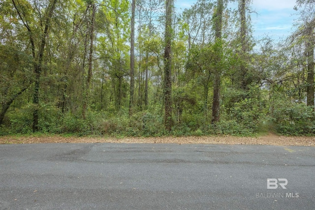 Listing photo 3 for Wharf St, Daphne AL 36526