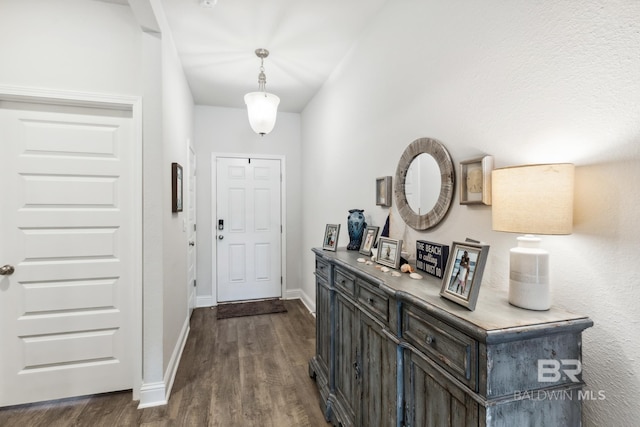 entrance foyer featuring dark wood-type flooring