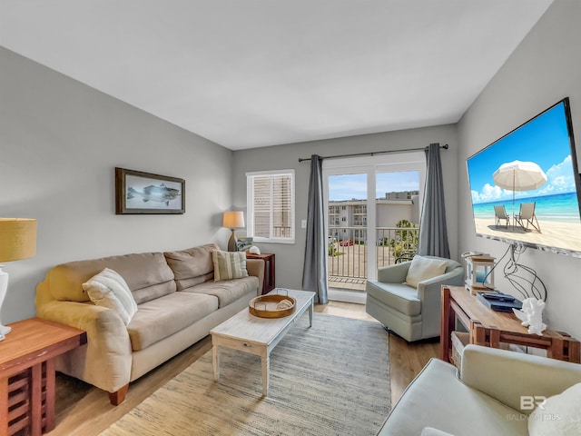 living room with light hardwood / wood-style flooring