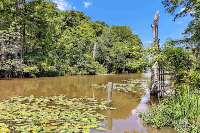 42168 Bayou Rd, Bay Minette, AL 36507 - dock area with a water view