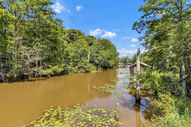 42168 Bayou Rd, Bay Minette, AL 36507 - water view