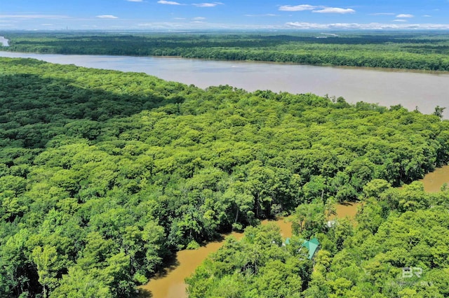 42168 Bayou Rd, Bay Minette, AL 36507 - aerial view of a large body of water