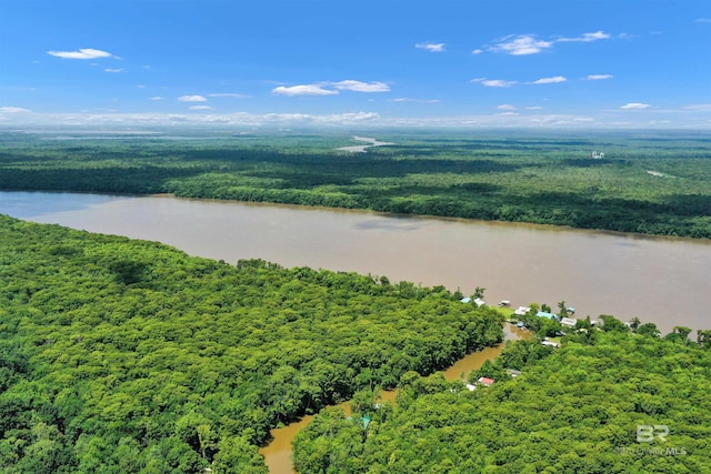 42168 Bayou Rd, Bay Minette, AL 36507 - bird's eye view of a heavily wooded area and a nearby body of water