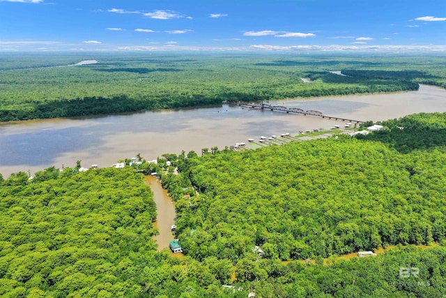 42168 Bayou Rd, Bay Minette, AL 36507 - aerial view of a heavily wooded area and a nearby body of water