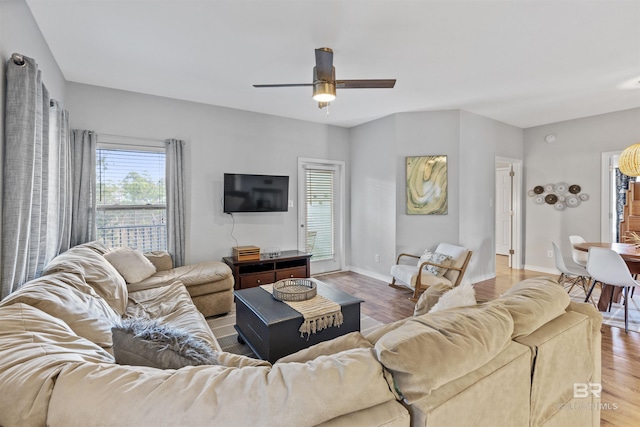 living room with wood-type flooring and ceiling fan