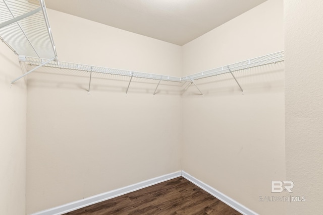 walk in closet with hardwood / wood-style flooring