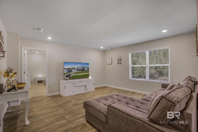 living room featuring wood-type flooring