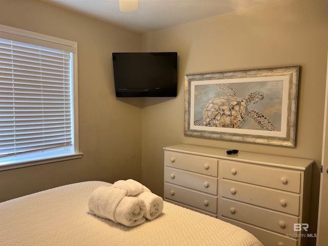 bedroom with ceiling fan