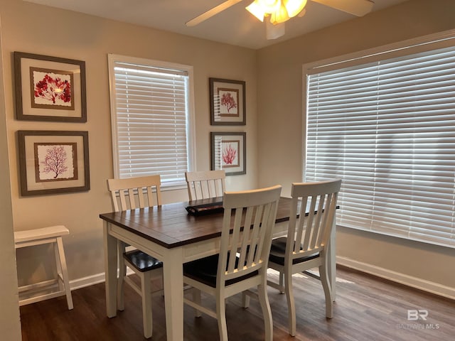 dining area with ceiling fan and dark hardwood / wood-style flooring