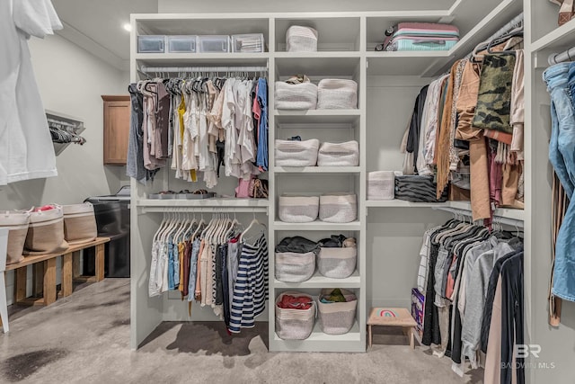view of spacious closet