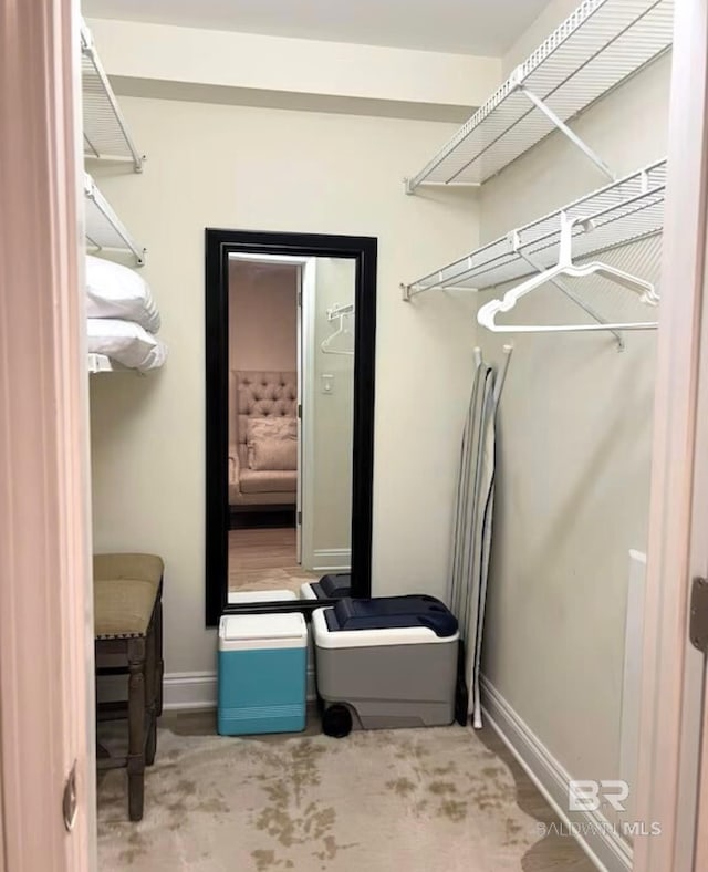 view of spacious closet