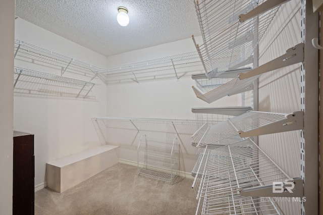 7750 Charleston Oaks Dr, Daphne, AL 36526 - walk in closet featuring carpet floors