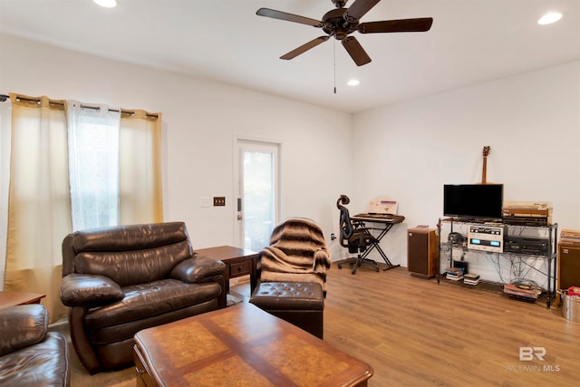 living room with ceiling fan and hardwood / wood-style flooring