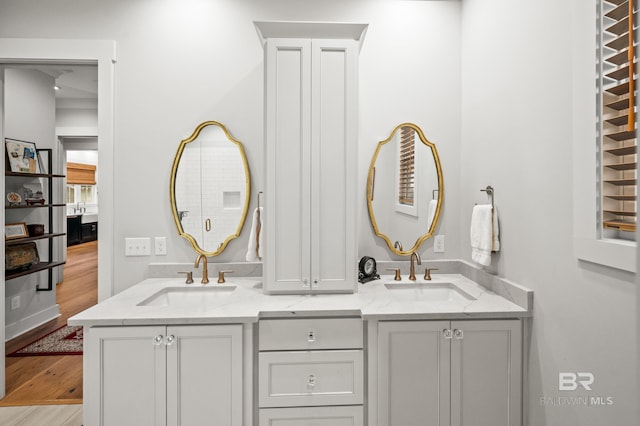 bathroom with hardwood / wood-style floors and vanity