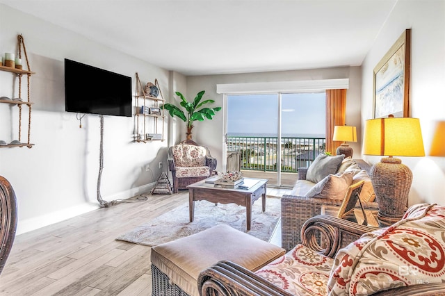 living room with light hardwood / wood-style floors