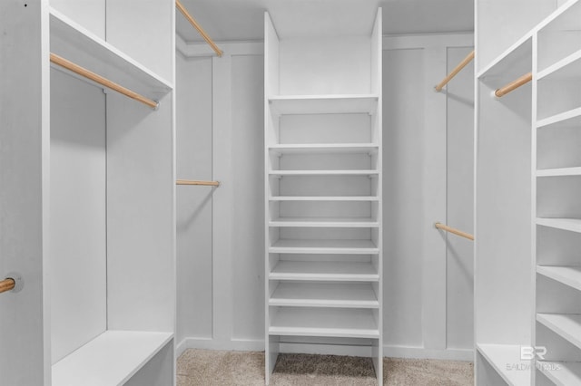 spacious closet featuring light carpet