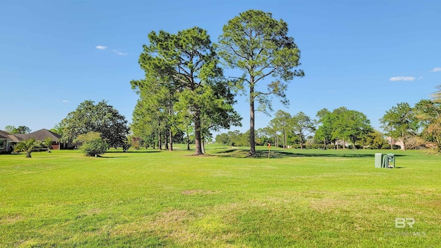22355 County Road 12, Foley, AL 36535 - view of community with a lawn