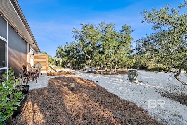 view of yard featuring a patio area