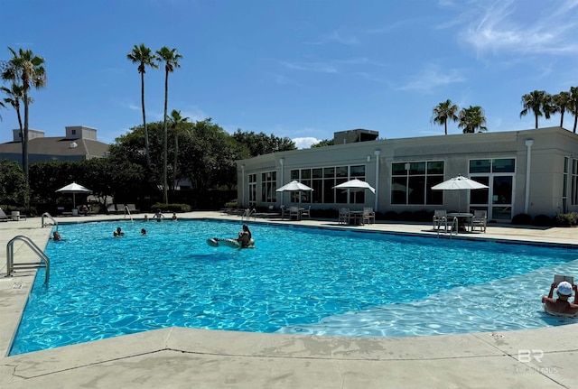 200 Peninsula Blvd Unit A202, Gulf Shores, AL 36542 - community pool with a patio area