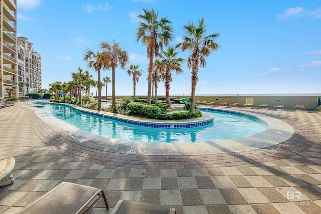 view of pool featuring a patio