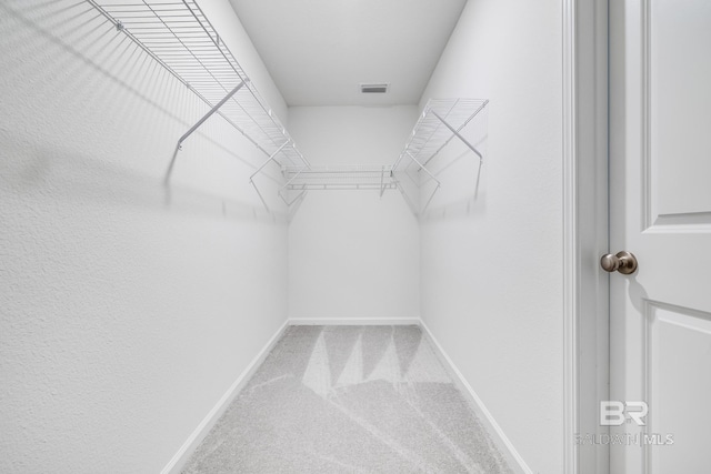 walk in closet featuring carpet