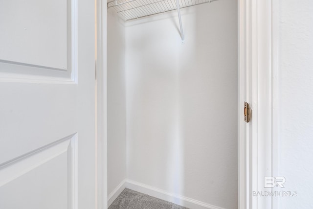 spacious closet with carpet floors