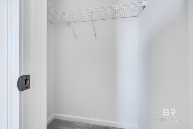 view of walk in closet