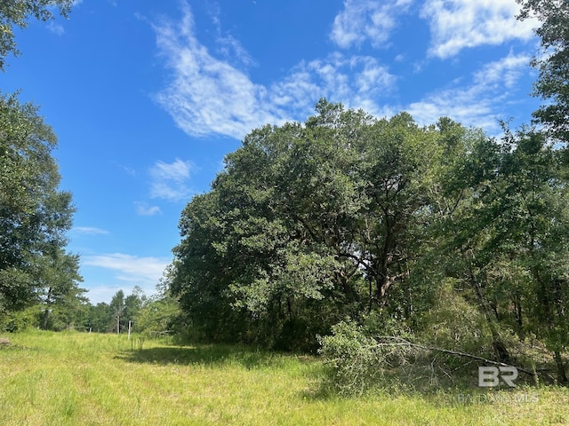 0 Newman Rd, Mobile AL, 36695 land for sale