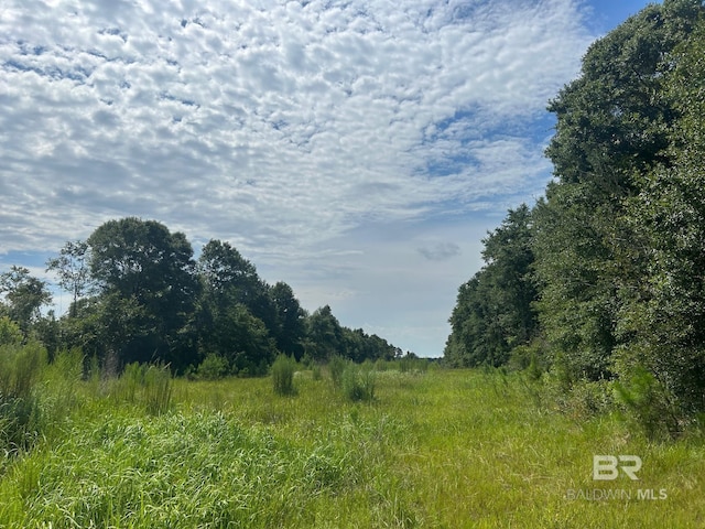 Listing photo 2 for 0 Newman Rd, Mobile AL 36695