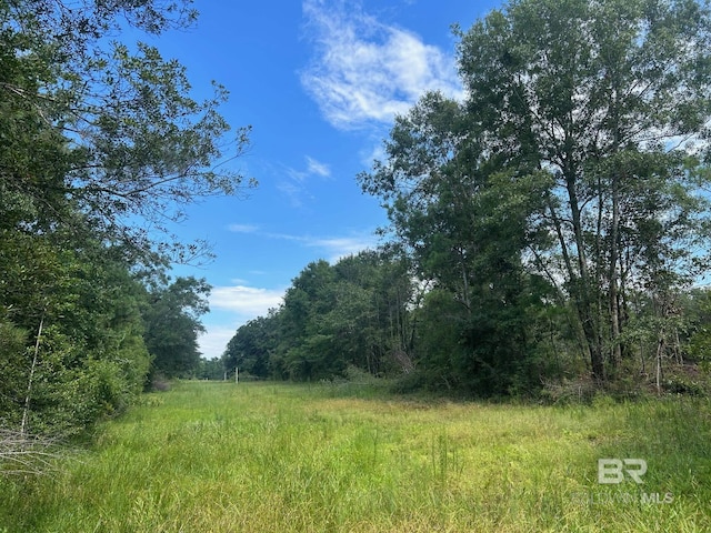 Listing photo 3 for 0 Newman Rd, Mobile AL 36695