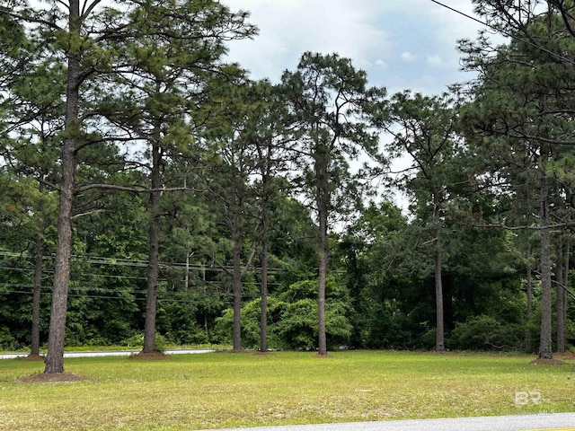 view of green lawn featuring a view of trees