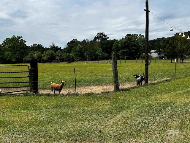 view of yard featuring a view of countryside