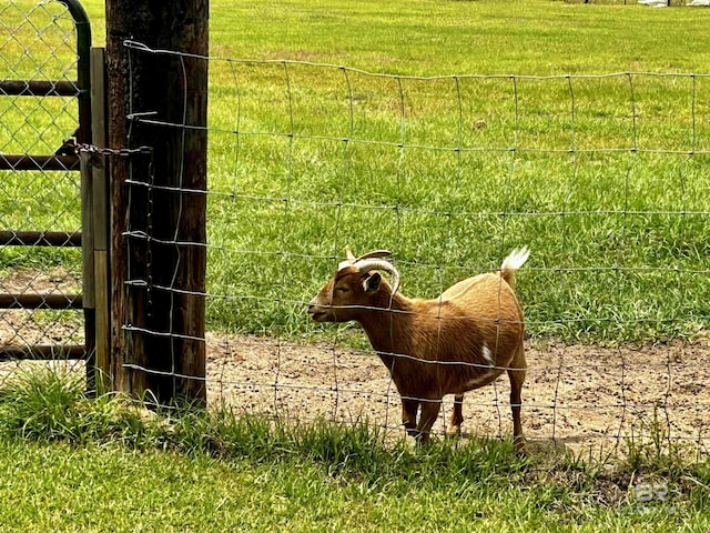 exterior view of fence