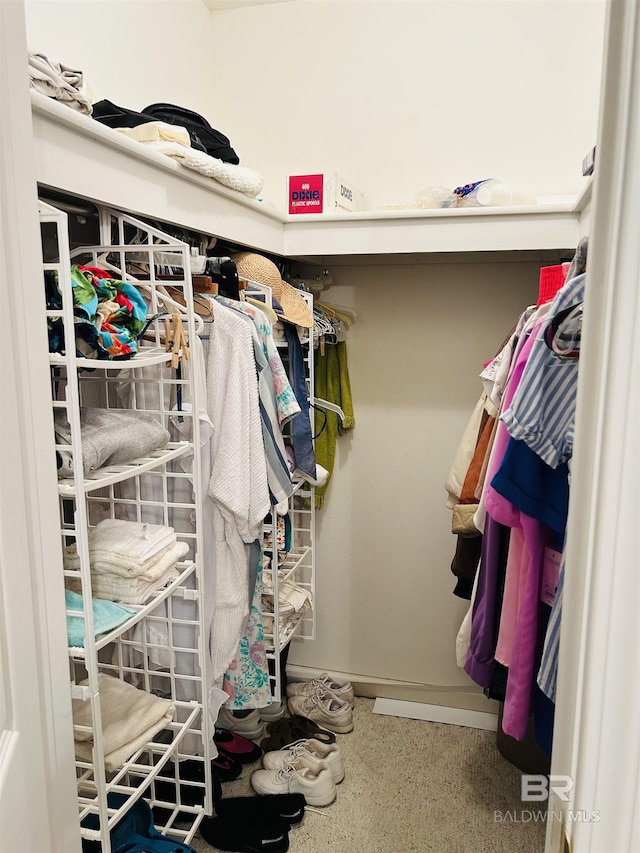 view of spacious closet