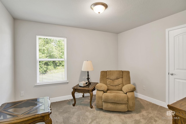 22894 Ridgewood Dr, Robertsdale, AL 36567 - sitting room with plenty of natural light, carpet, and baseboards