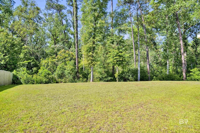 22894 Ridgewood Dr, Robertsdale, AL 36567 - view of yard