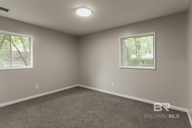 carpeted spare room with a healthy amount of sunlight