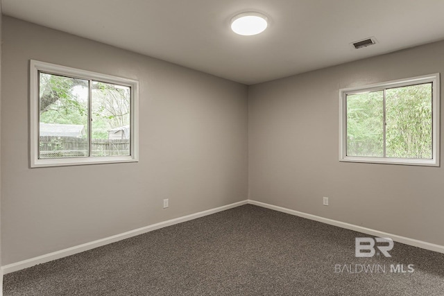 carpeted spare room with plenty of natural light