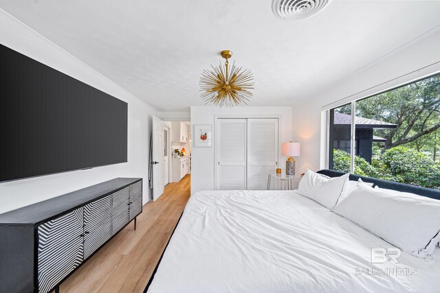 bedroom featuring multiple windows, a closet, and light wood-type flooring