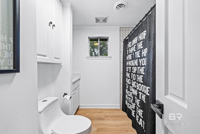 bathroom with toilet, hardwood / wood-style floors, and vanity