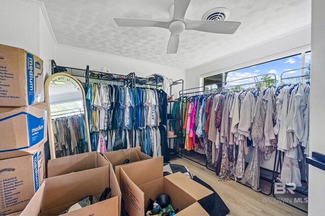 spacious closet with light hardwood / wood-style flooring and ceiling fan