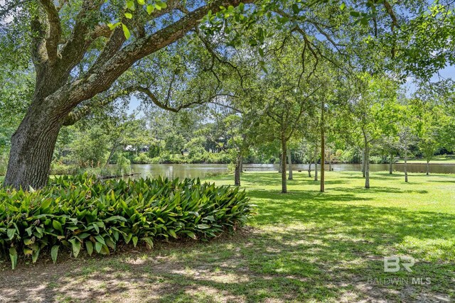 view of yard with a water view