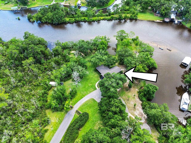 bird's eye view featuring a water view